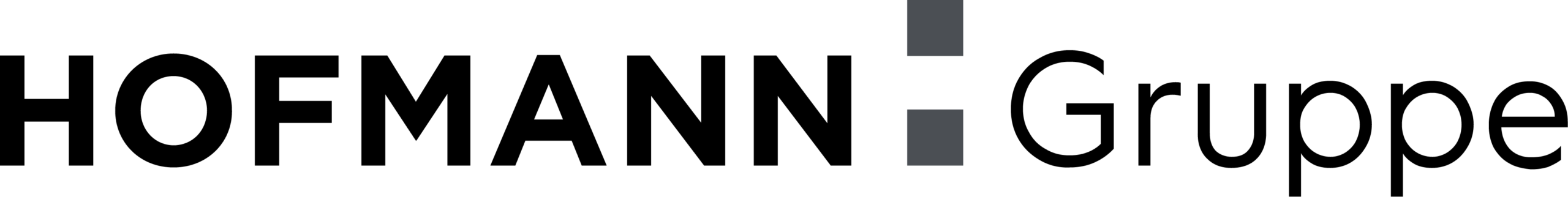 Hofmanngruppe scaled
